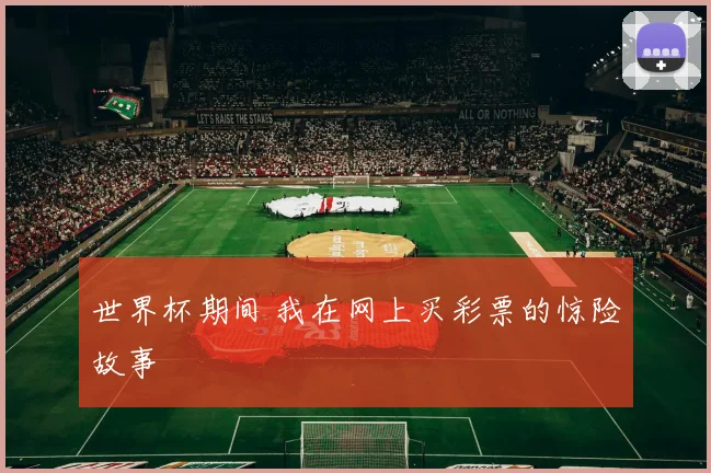 世界杯期间 我在网上买彩票的惊险故事