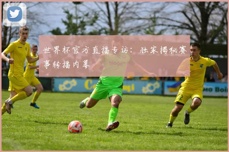 世界杯官方直播专访：独家揭秘赛事转播内幕