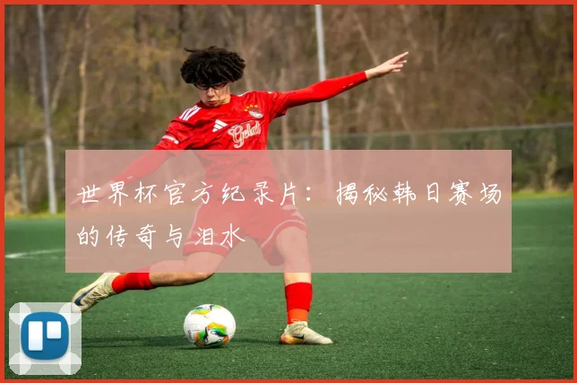 世界杯官方纪录片:揭秘韩日赛场的传奇与泪水