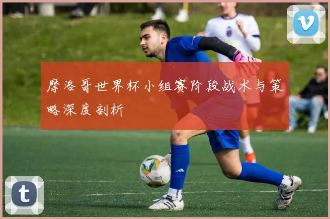 摩洛哥世界杯小组赛阶段战术与策略深度剖析