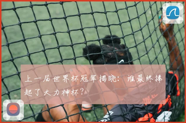 上一届世界杯冠军揭晓:谁最终捧起了大力神杯?