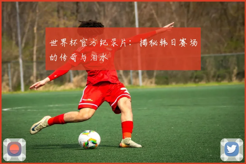 世界杯官方纪录片:揭秘韩日赛场的传奇与泪水